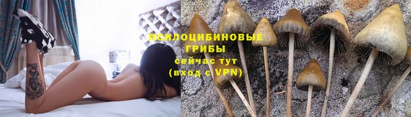 ПСИЛОЦИБИНОВЫЕ ГРИБЫ Богородицк