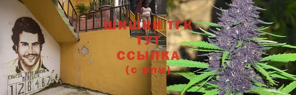 гашиш Бородино